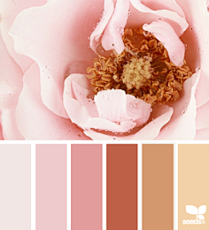 Color Match.Pink-花瓣网|陪你做生活的设计师 | all who color