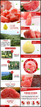 素材 淘宝红肉蜜柚详情页模板 淘宝红肉蜜柚描述模板下载 淘宝红肉蜜柚详情图下载 淘宝蜜柚详情页模板下载 蜜柚 柚子 水果 红肉蜜柚 红肉柚子 新鲜水果 描述 详情页 宝贝描述 详情图 宝贝详情页模板 淘宝模板 淘宝宝贝详情图 淘宝详情模板 淘宝商品详情模板 淘宝详情页模板 淘宝细节描述模板 淘宝产品描述模板 描述模板素材 淘宝描述图片 淘宝素材 淘宝 天猫 PSD格式eddizhx5zns