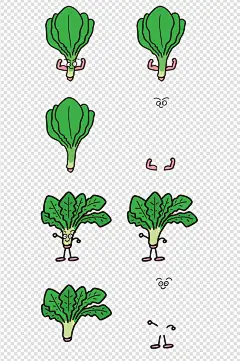 手绘蔬菜菠菜青菜素材