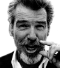 Pierce Brosnan