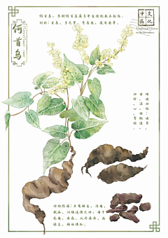 九月的星星采集到插画