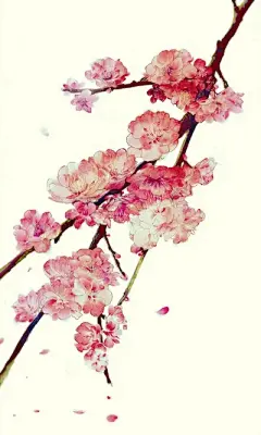 水彩---樱花-梨花-桃花-海棠花、梅花 - 高清图片，堆糖，美图壁纸兴趣社区