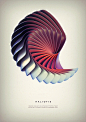 【I＆B品牌】美丽的螺旋艺术创意海报设计