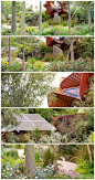 Phillip Johnson景观事务所设计了这座富有创新性的可持续花园，它在一种澳洲城镇风情中提供了闲适感。设计师将安逸轻松的花园、自然河水和瀑布无缝地整合在了一起。这个花园引入了许多澳洲原生植物。http://t.cn/zHIEW3l分享图片#