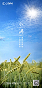 【源文件下载】 海报 房地产 二十四节气 小满