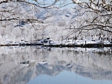 北京植物园雪景