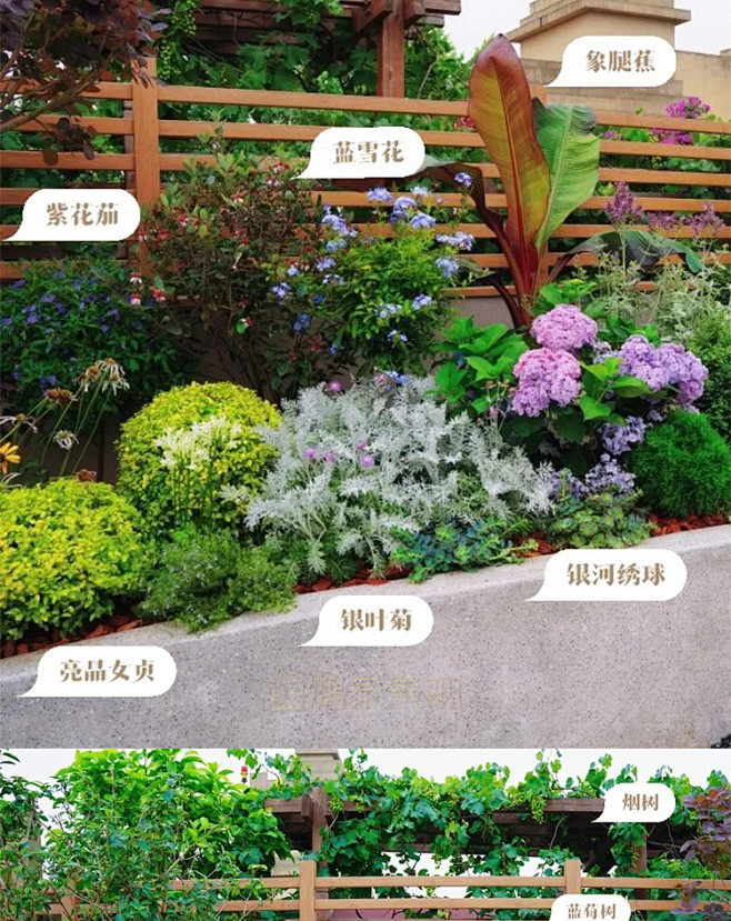 2022花境植物组团配置带名称园林景观铺...