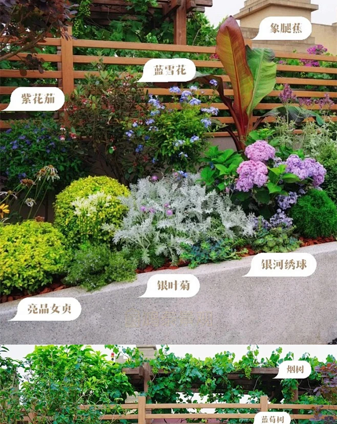 2022花境植物组团配置带名称园林景观铺装材料植物配置方案实景图-淘宝网-花瓣网