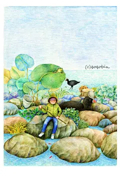 孔雀插画_新浪博客