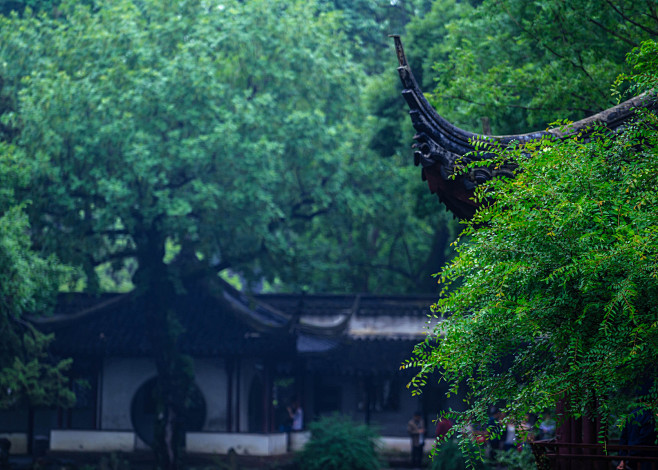 下雨仍然在拙政园-mingcat