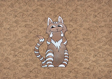 Cat, Feline, Pet, Ki...