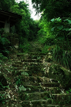 满婷采集到风景