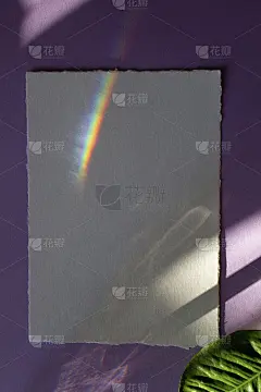模型卡与绿色树叶，阴影在紫色的背景。婚礼请柬，问候，生日。
