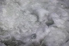 闪闪发光的水族海壁纸背景背布