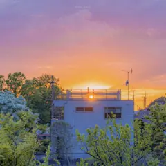 来一组小清新壁纸 小清新/壁纸/景色/精美/黄昏 礼貌抱图 - 堆糖