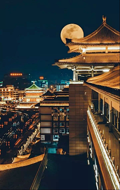 爱吃乌鱼蛋羹的柑橘采集到背景