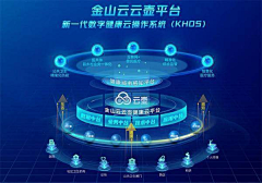 张伟的古丽采集到数据大屏