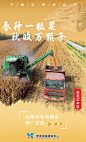 海报|若羌：丰收限定色 惊艳整个秋
