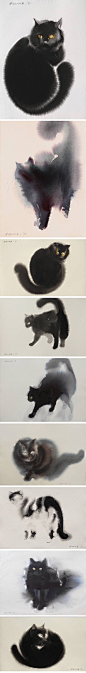 Endre Penovac画的水彩猫 ​​​