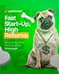 Social Media - PetShop PetNmIND :: Behance