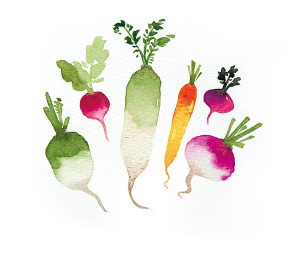radishradishvegetables