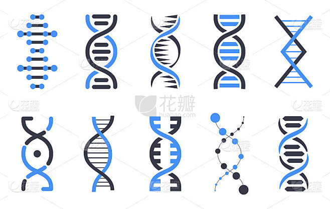 DNA图标集合。人类染色体的象征。矢量设计元素