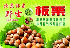 板栗  - 源文件下载【酷图网】板栗,板栗包装,炒板栗,板栗展板,板栗设计,板栗海报,板栗插画,板栗广告,板栗仁,卖板栗,板栗特产,河北板栗,糖炒栗子,栗子,板栗花生,板栗杏仁,板栗腰果,板栗松子,核桃,坚果海报