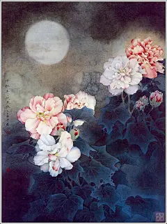 【系列绘画美术作品：画家笔下的木芙蓉】