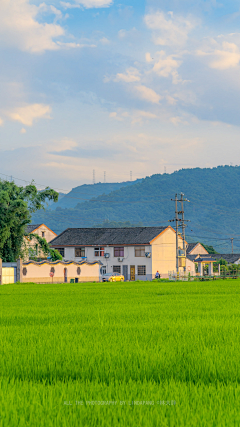 789+789+采集到背景