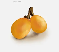手绘夏季水果枇杷图片大小3508x3102px 图片尺寸3.31 MB 来自PNG搜索网 pngss.com 免费免扣png素材下载！插画#插图#卡通手绘#南方水果#枇杷树#枇杷园#手绘#水果#水果超市#水果摊#夏季#夏天#夏至#