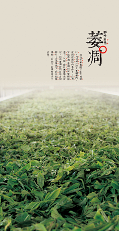 ellenxu采集到All About Tea