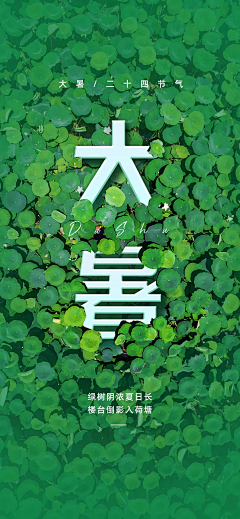 蔷薇蔓采集到11节日节气