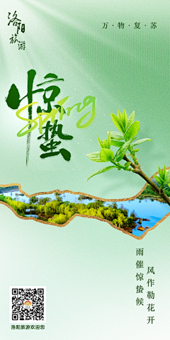 简单li采集到节气海报