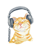 戴耳机的猫