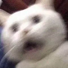 分享一组模糊表情包 ​​​​