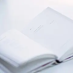 纯白色静物日系摄影图片ipad4壁纸