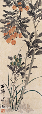 清·虚谷