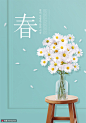 木质圆凳 白色小雏菊 玻璃瓶 散落花瓣 春季海报PSD14广告海报素材下载-优图-UPPSD