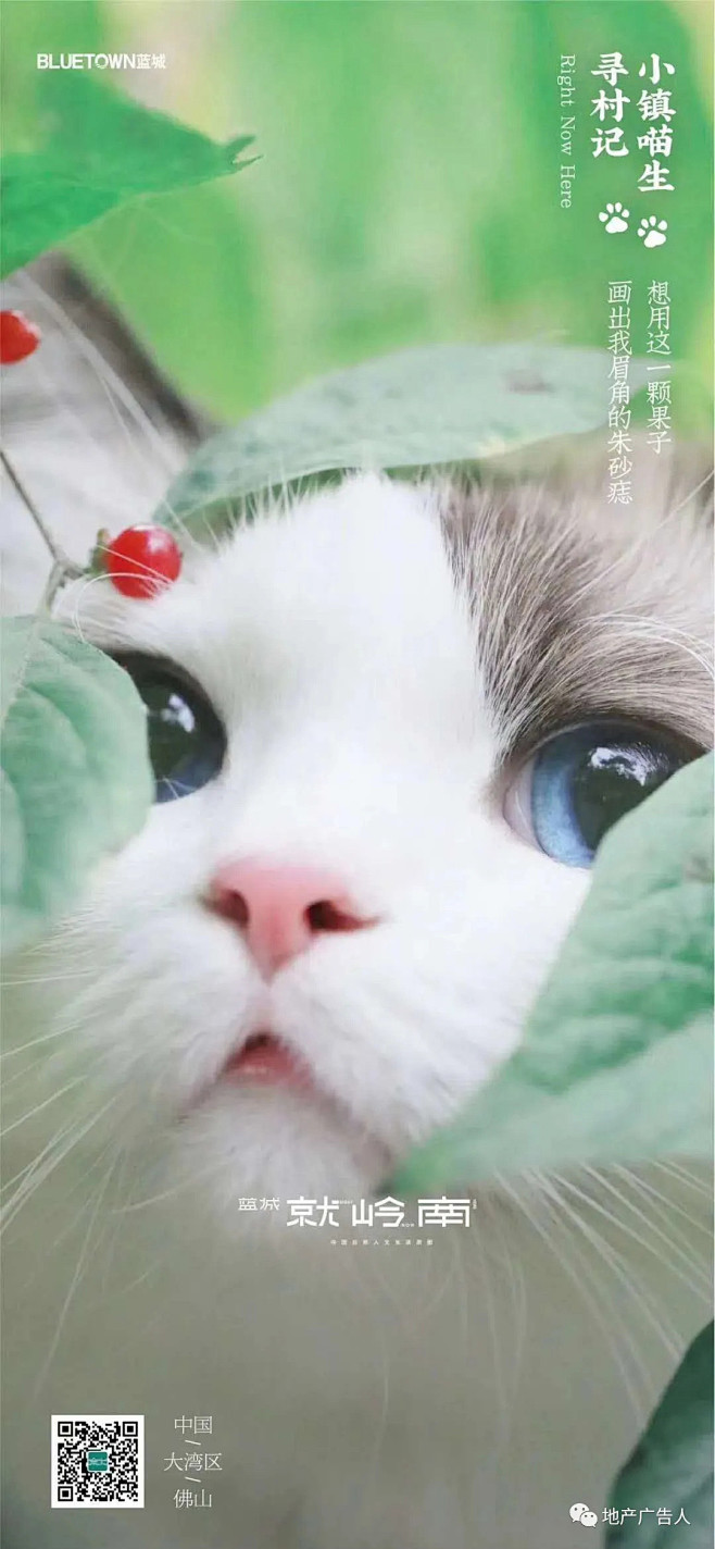 这只猫主子撩倒整个地产界 : 2020蓝...