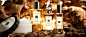 辛辣香类 | Jo Malone London祖玛珑官方网站