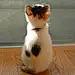 动物 猫咪 狗呆萌 喵星可爱 宠物 自然 萌宠尽在 ------&gt; @花道士
