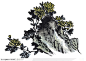 中国国画之花类植物-山石上的菊花