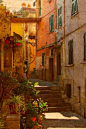 Riomaggiore, Cinque Terre, Italy。 意大利五渔村里奥马焦雷。里奥马焦雷坐落于利古里亚海东北岸的一个河谷地带，起源于公元八世纪，是风景如画额五渔村中最南端的小镇。根据传说，此镇起源于公元八世纪希腊逃犯为了逃避东罗马帝国皇帝的追杀，在此避难。里奥马焦雷因镇上的房屋被涂上传统色彩而闻名于世。这里依山傍水且深处悬崖之上，蓝色的地中海衬着糖果色的房屋和城堡，想象一下在这里的悬崖上跳水、小河里钓鱼、巷子中穿行、你会希望时间就此静止。 #街景# #城市# #攻略##旅行#