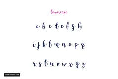 一款时尚飘逸手写英文字体King Basil - Free Brush Font 字体下载 