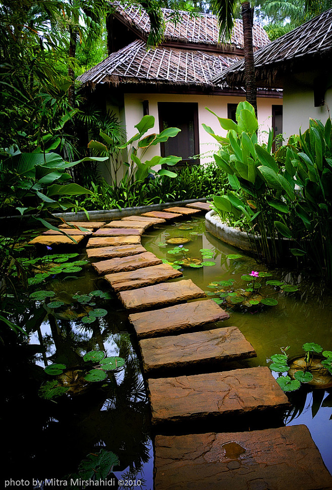 bluepueblo:

Stone P...