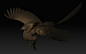 狮鹫 未完成 Gryphon Griffin griffon wip, dinyi chen : 狮鹫 未完成 Gryphon Griffin griffon wip by dinyi chen on ArtStation.