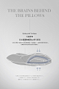 SIDANDA日本新品95羽绒枕颈椎枕头白鹅绒枕单人枕五星级酒店枕芯-tmall.com天猫
