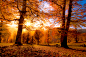 Photograph Autumn's warmth by Morteza Safataj on 500px