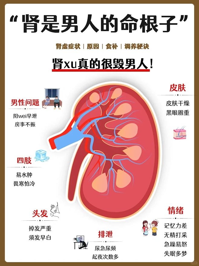 男性肾虚体亏自查 附养肾攻略！-花瓣网