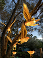 Santa Barbara - 动物园灯光展Zoo light